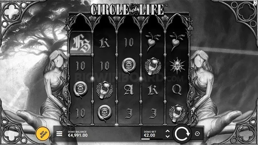 The Thrill of Live Dealer Games
